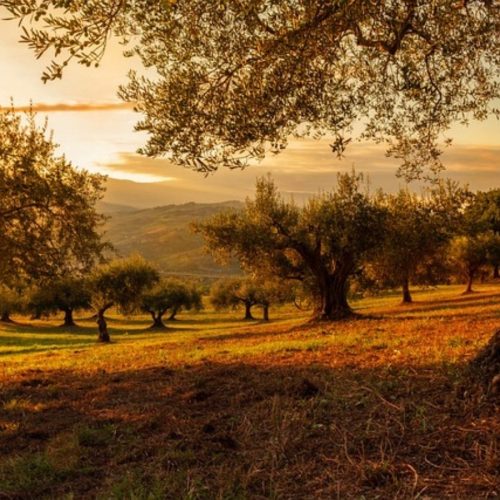 Renew Your Spirit: How to Create a Sacred Space and Simplify Your Life This Fall