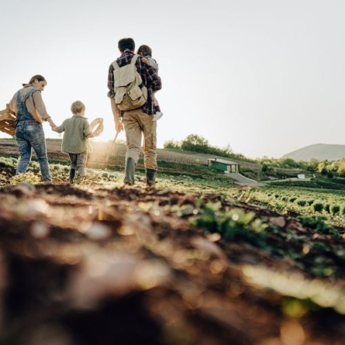 Catholic Homemaking on a Budget: Frugal Living with Faith