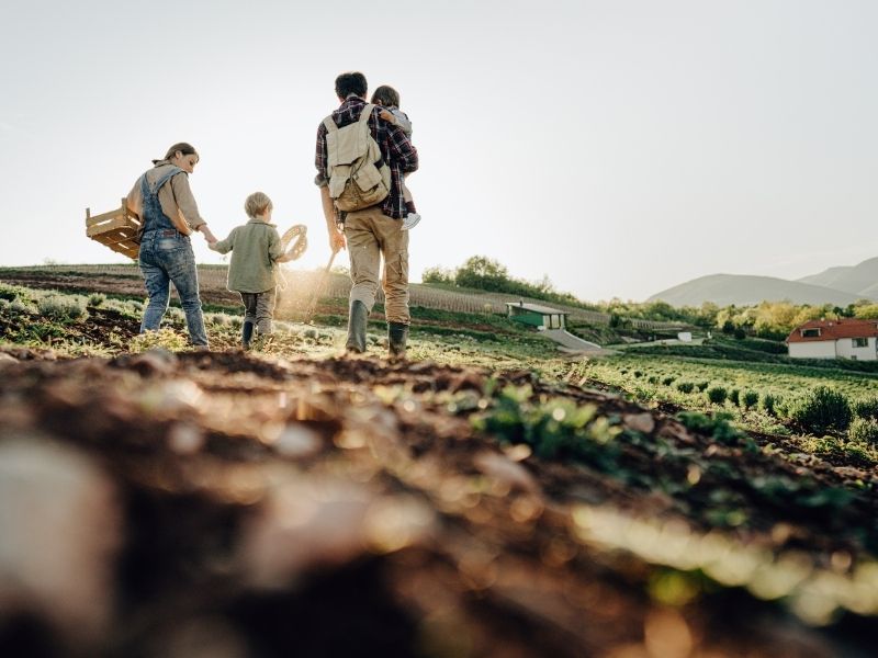 Catholic Homemaking on a Budget: Frugal Living with Faith