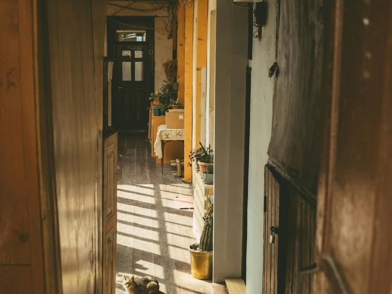 Cozy rustic home hallway with plants, reflecting the warmth of Catholic homemaking on a budget.