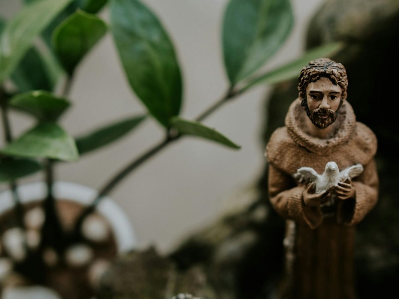 Small statue of St. Francis of Assisi holding a dove, surrounded by green houseplants