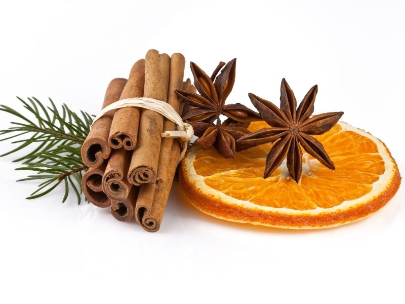 Cinnamon sticks, star anise, and dried orange slice with pine branch, symbolizing Christmas spices and festive flavors.
