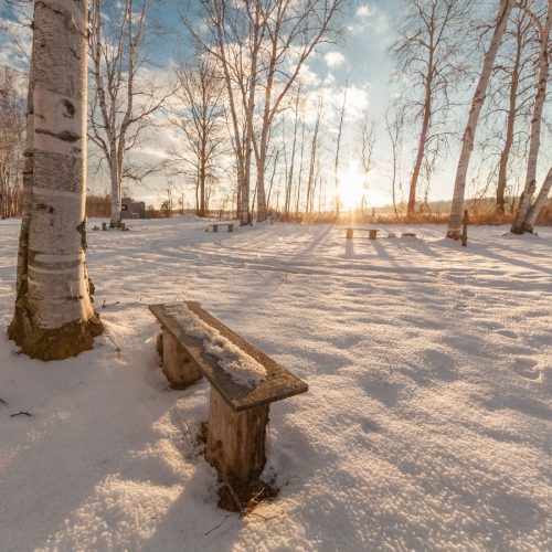 Embracing Winter’s Stillness: A Time for Reflection and Prayer