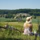 Woman enjoys a rural view fasting from digital distractions.