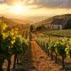 A sun-drenched vineyard stretching across rolling hills at sunset, featuring a stone cottage house nestled among rows of lush grapevines under a golden sky, illustrating the theme of the Lord’s vineyard.